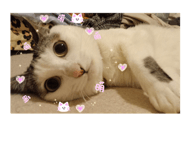 128116652