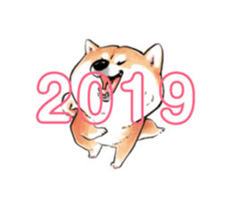 128233752