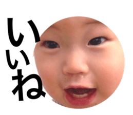 128243221