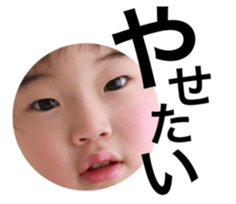 128243229