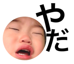 128243238