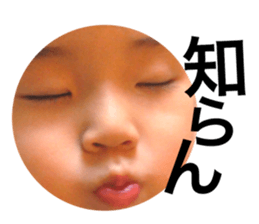 128243241