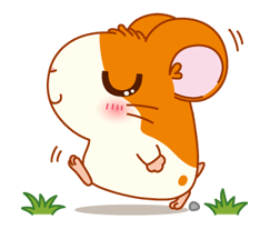 แฮมทาโร่ รูปที่ 33