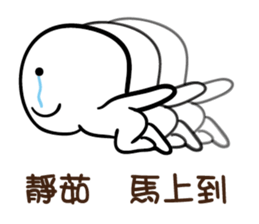129012927