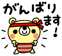 12902794