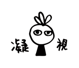 12919569