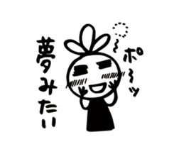 12919572
