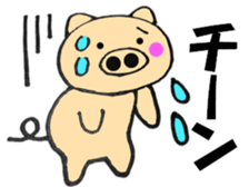 12920903