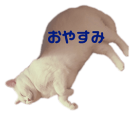 129210672