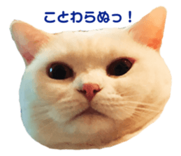 129210673