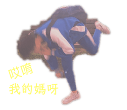 129251729
