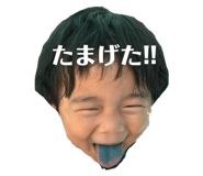 129265595