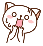 129507
