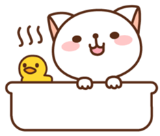 129512