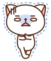129528