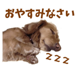 129771962