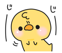 12979163