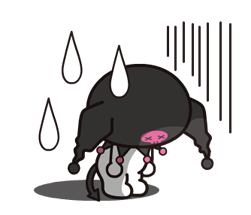 12981612