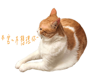 129851294