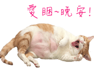 129851299