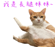 129851303