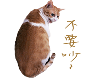 129851304