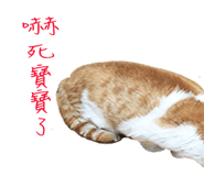 129851305