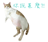 129851306