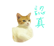 129851308