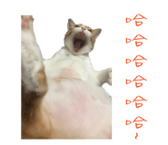 129851310