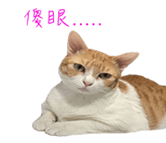 129851314