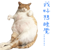 129851317