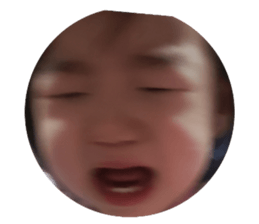 130068734