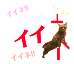 130089195
