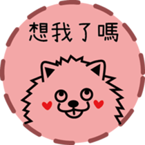 130137578