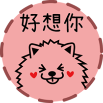 130137580
