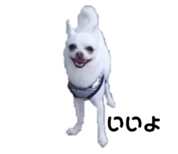 130204232