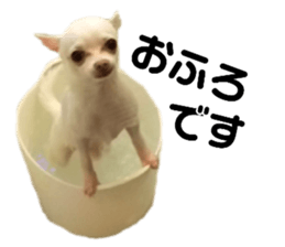 130204242