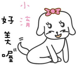 130235084