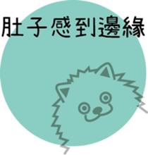 130284254
