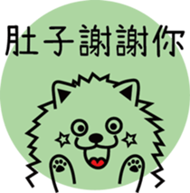 130284262