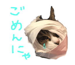 130337180