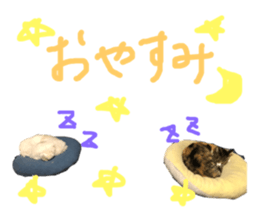 130337183