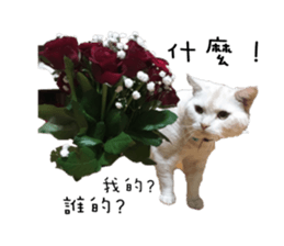 130405087