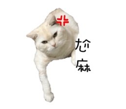 130405088