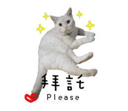 130405092
