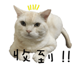 130405095