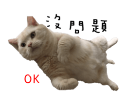 130405096