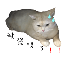 130405099