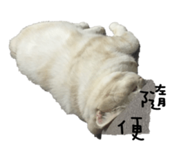 130405101